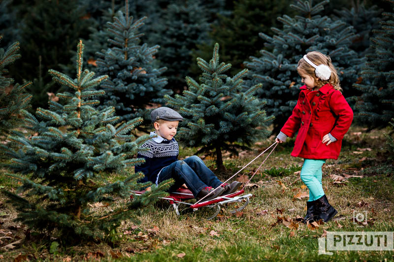 Pizzuti Cuties Photography Christmas Tree Farm - Mini Sessions - 11/15