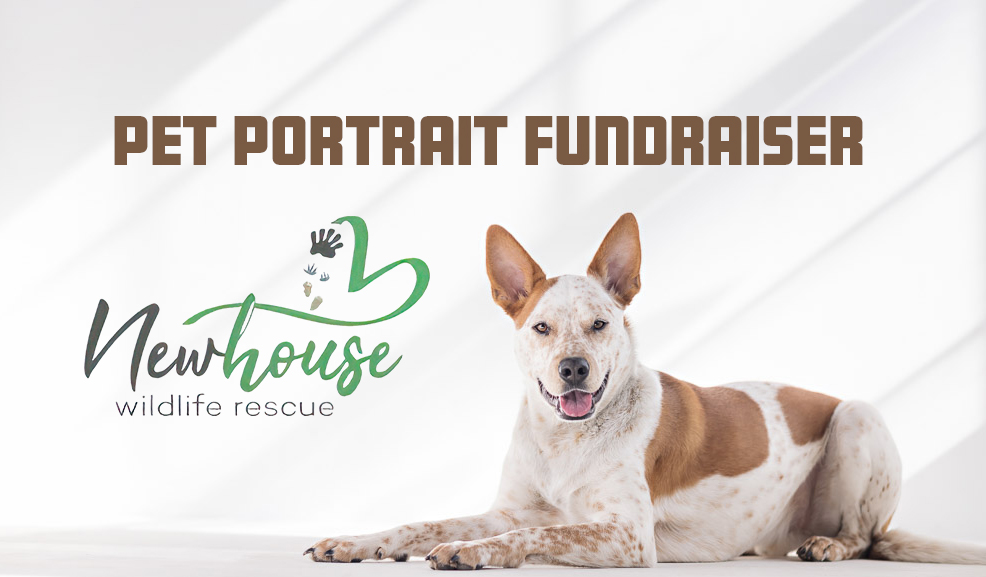 Newhouse Wildlife Rescue Fundraiser
